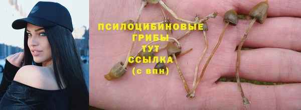 амф Алзамай