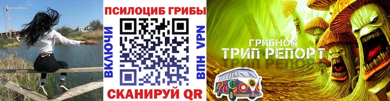 Галлюциногенные грибы GOLDEN TEACHER  Павлово 