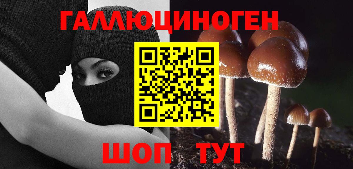 Галлюциногенные грибы ЛСД  Псилоцибиновые грибы MAGIC MUSHROOMS  Павлово  Вход с VPN 