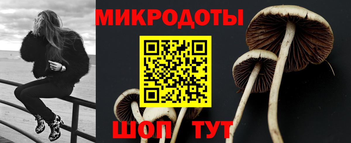 Галлюциногенные грибы мицелий  Вход с VPN  Павлово 