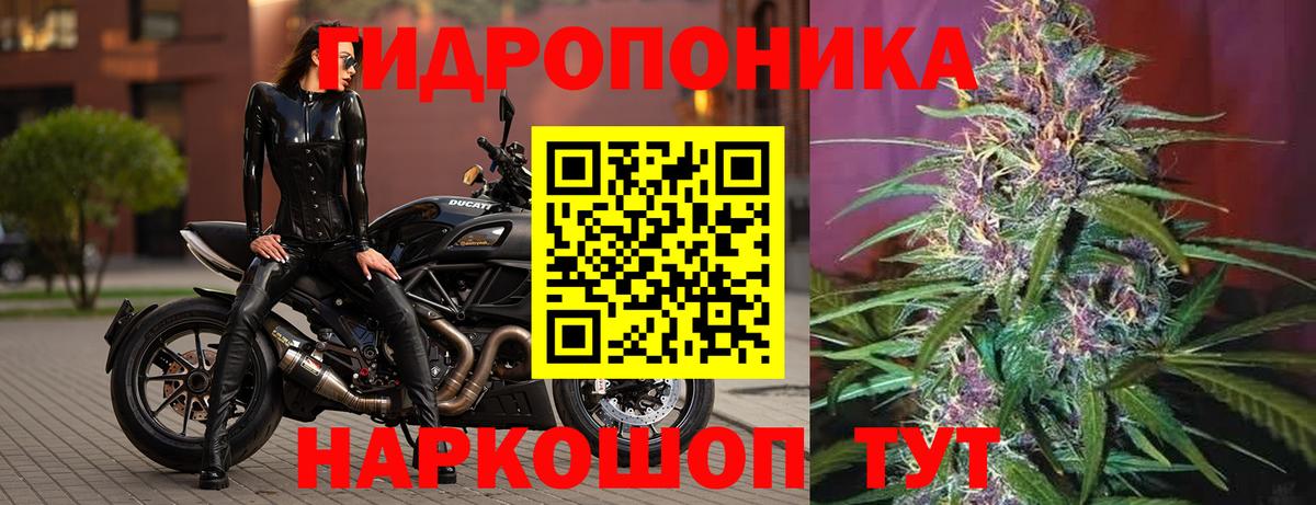 Шишки марихуана Ganja  Вход с VPN  Павлово  Шишки марихуана тримм  Бошки Шишки ГИДРОПОН  Канабис White Widow 